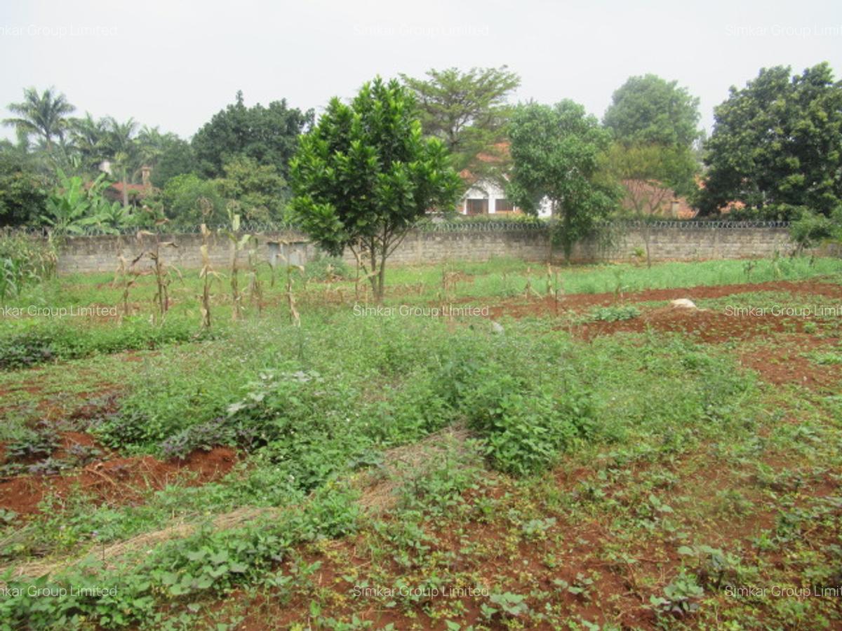 Residential Land at Runda - 7