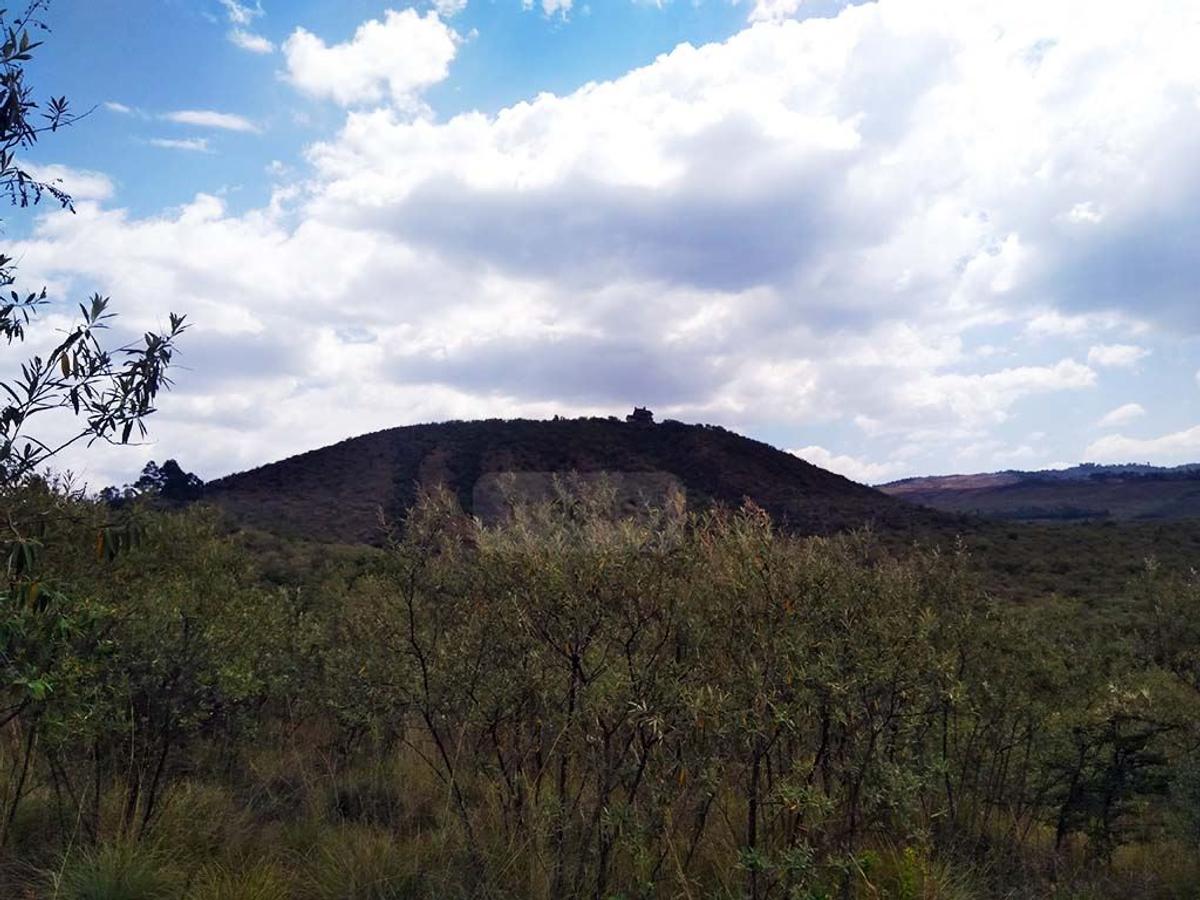 20,235 m² Land in Naivasha - 2