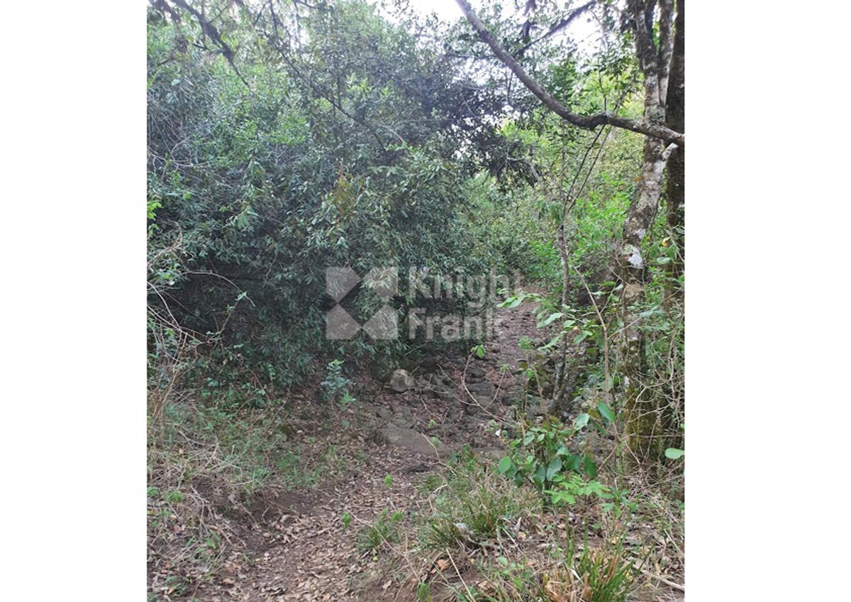 10 ac Land in Nanyuki - 5