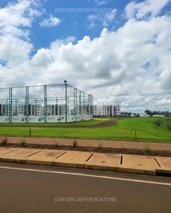 2 Bed Apartment with En Suite in Tatu City - 15