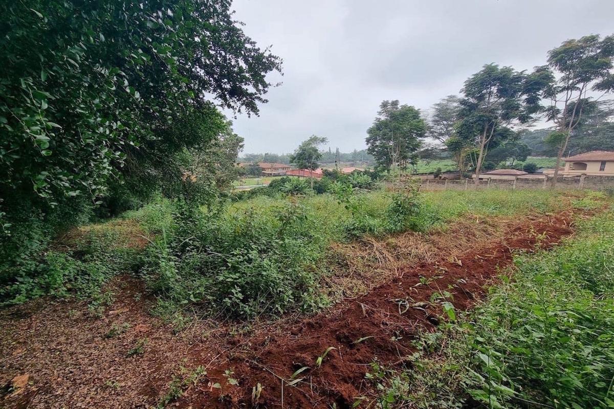 Residential Land in Runda - 6