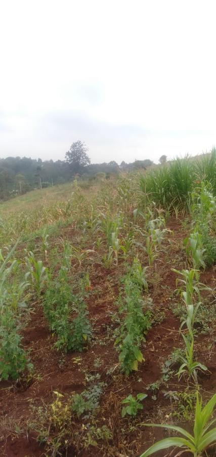 64,000 ft² Land at Kiambu Riabai - 4