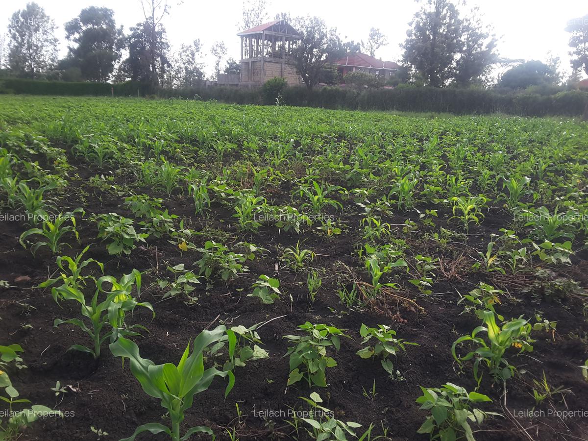0.125 ac Residential Land in Ongata Rongai - 3