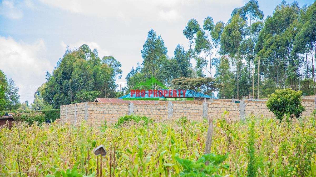 0.05 ha Residential Land at Ng'Amba - 3