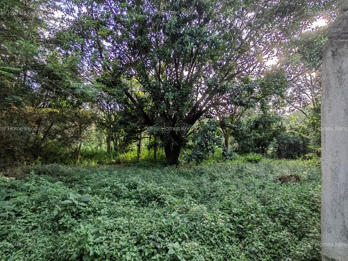 Commercial Land at Ruaka Road - 4