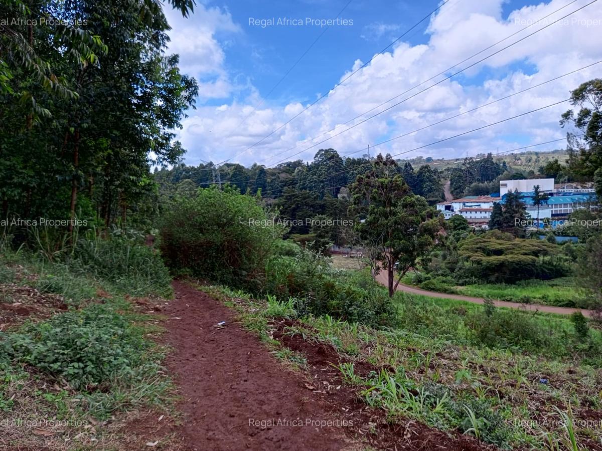 15 ac Land in Tigoni - 4