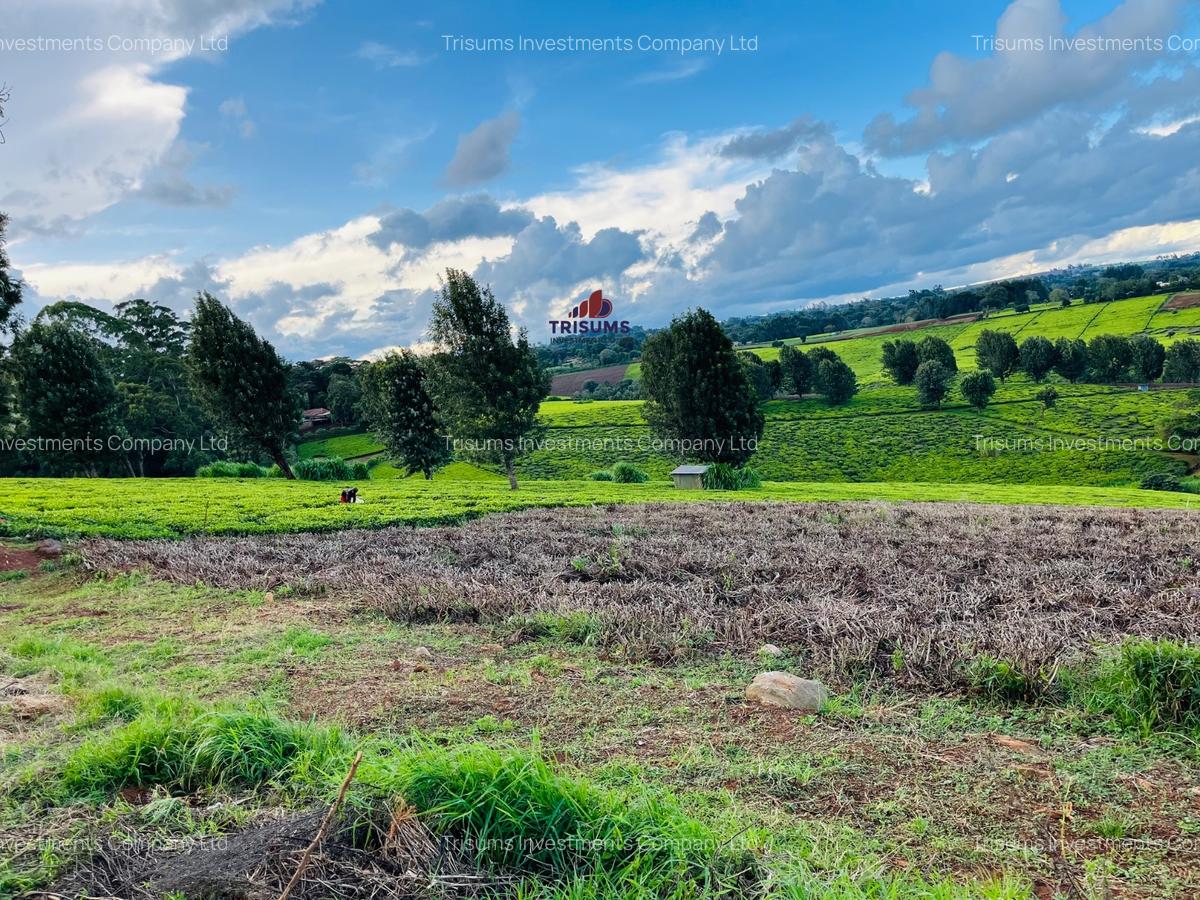 40 ac Land in Limuru - 6