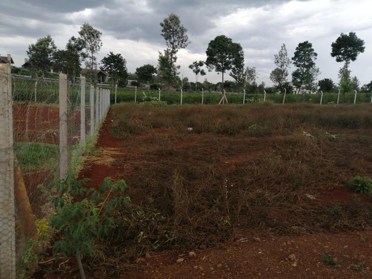 0.5 ac Residential Land at Runda Mumwe - 4