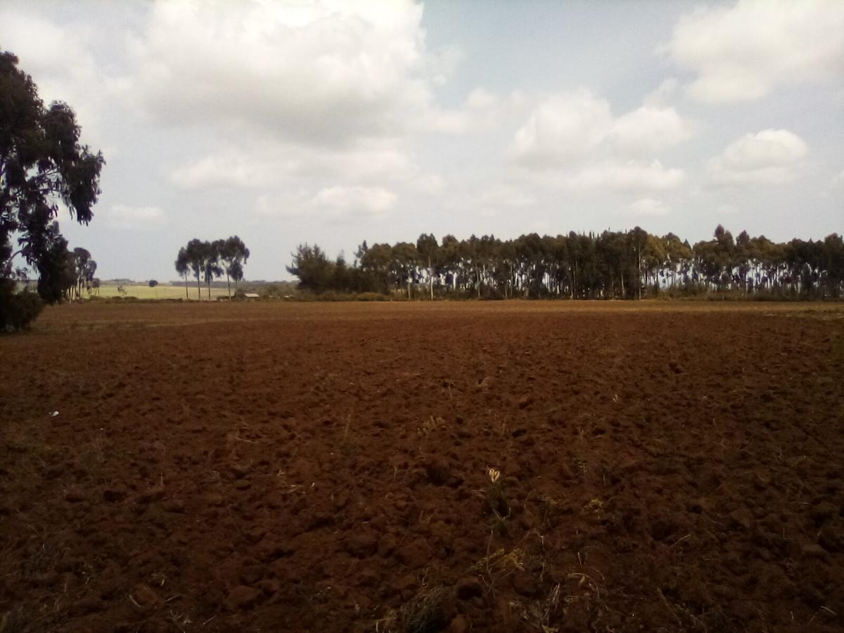 Land at Timau - 14