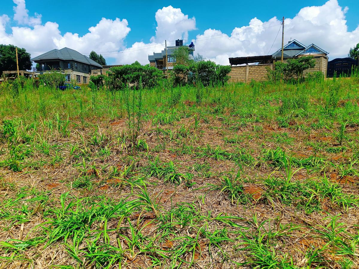 1,000 m² Residential Land at Riu-Nderi - 1