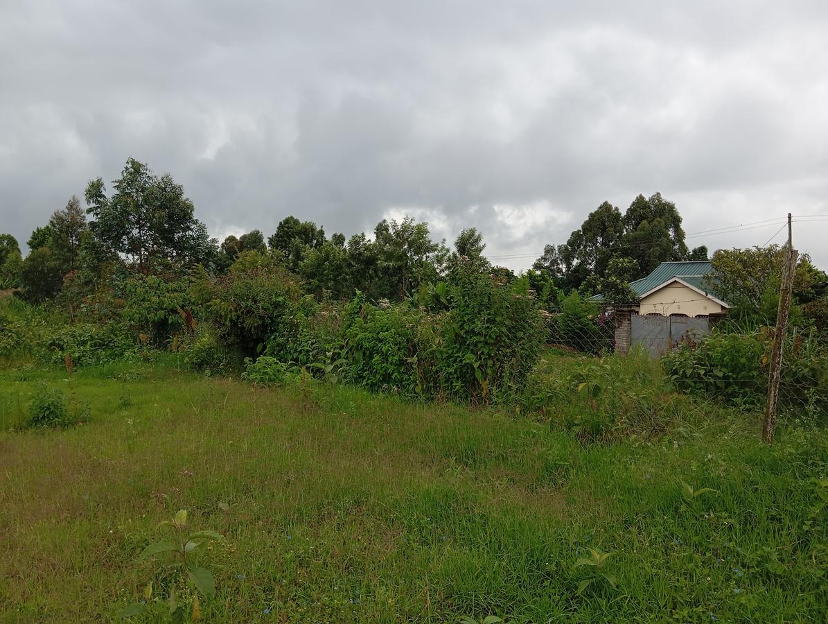 land in ngecha