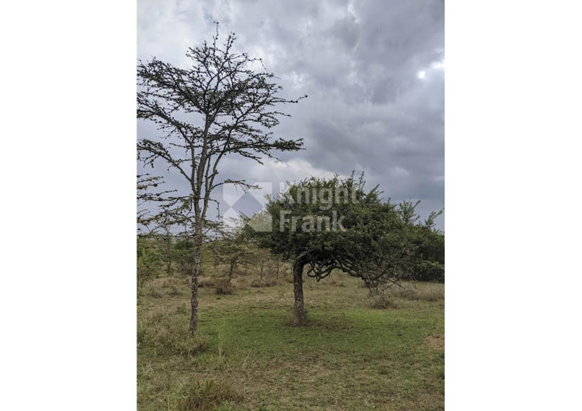 9.7 ac Land in Nanyuki - 3