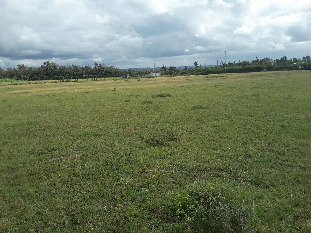 1 ac Residential Land in Ongata Rongai - 6