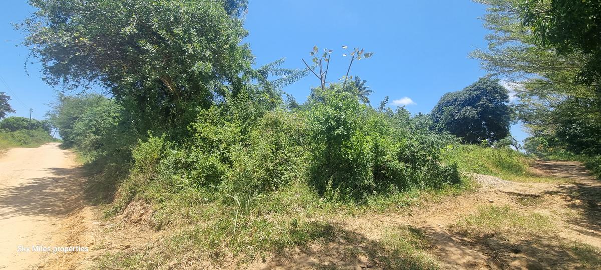 6 ac Land at Mtepeni - 8