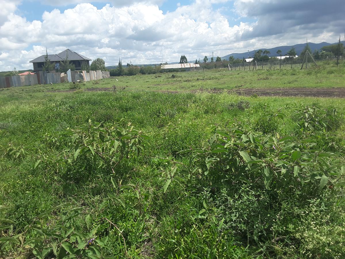 0.1 ha Residential Land in Ongata Rongai - 11