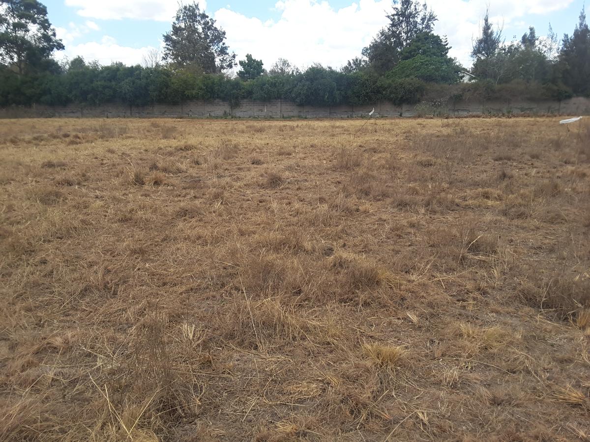 0.5 m² Residential Land in Karen - 6