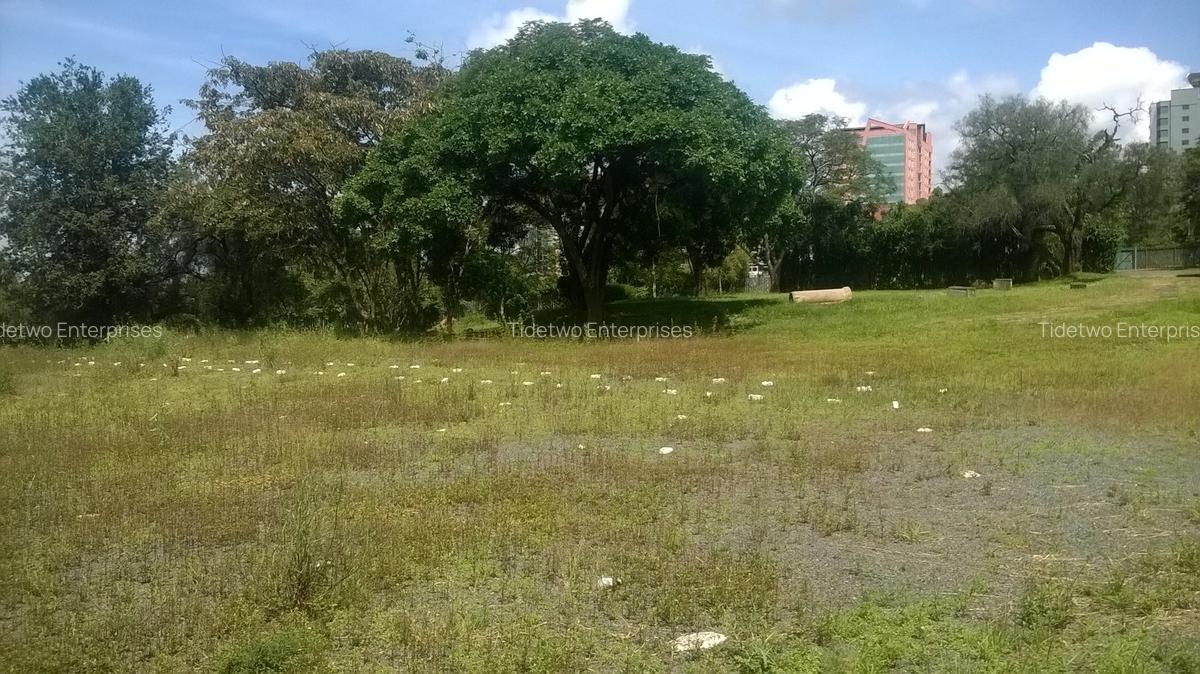 Land in Upper Hill - 4