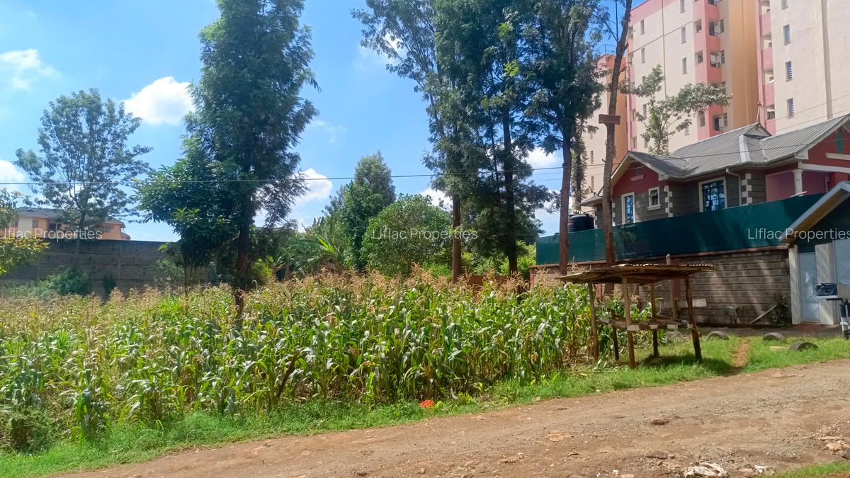 2,832.8 ac Land in Thindigua - 5