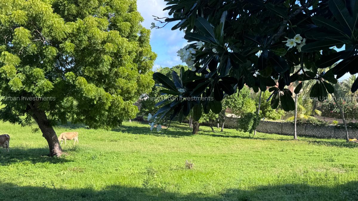 2 ac Land at Kilifi Bofa Beach - 13