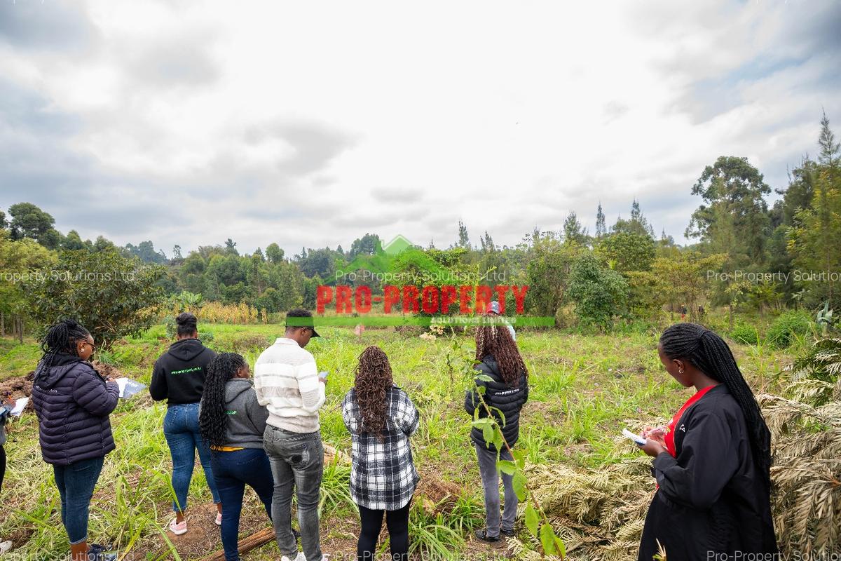 0.05 ha Residential Land at Mai-Ii-Hii - 6