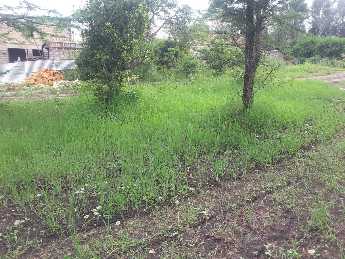 0.25 m² Land in Ongata Rongai - 10