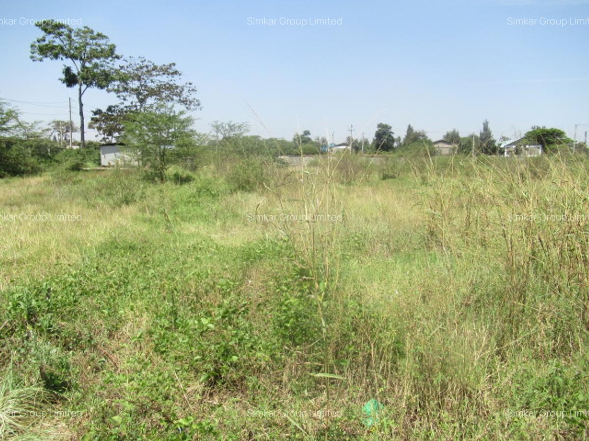 Land at Nyasa Rd - 10