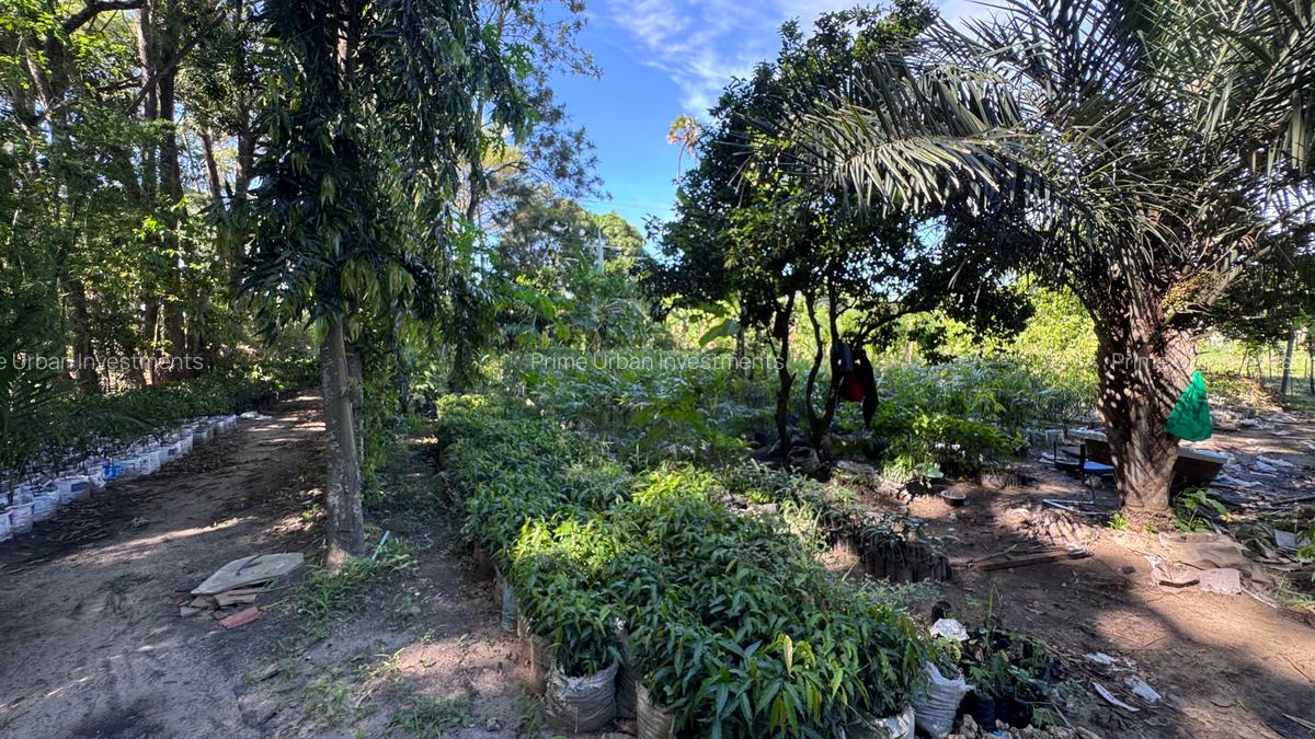 2 ac Land at Mtwapa - Animo - 11