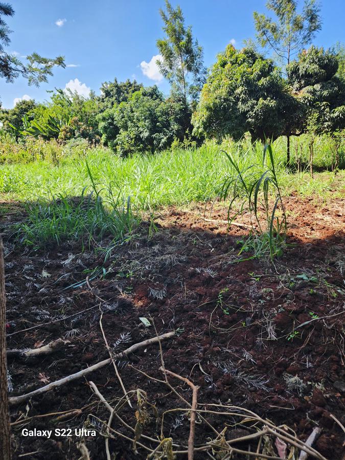 Residential Land at Thome. - 5