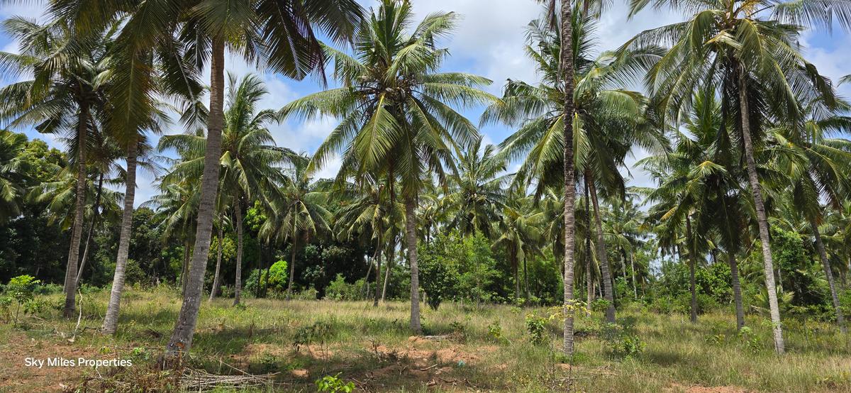 6 ac Land at Bomani - 3