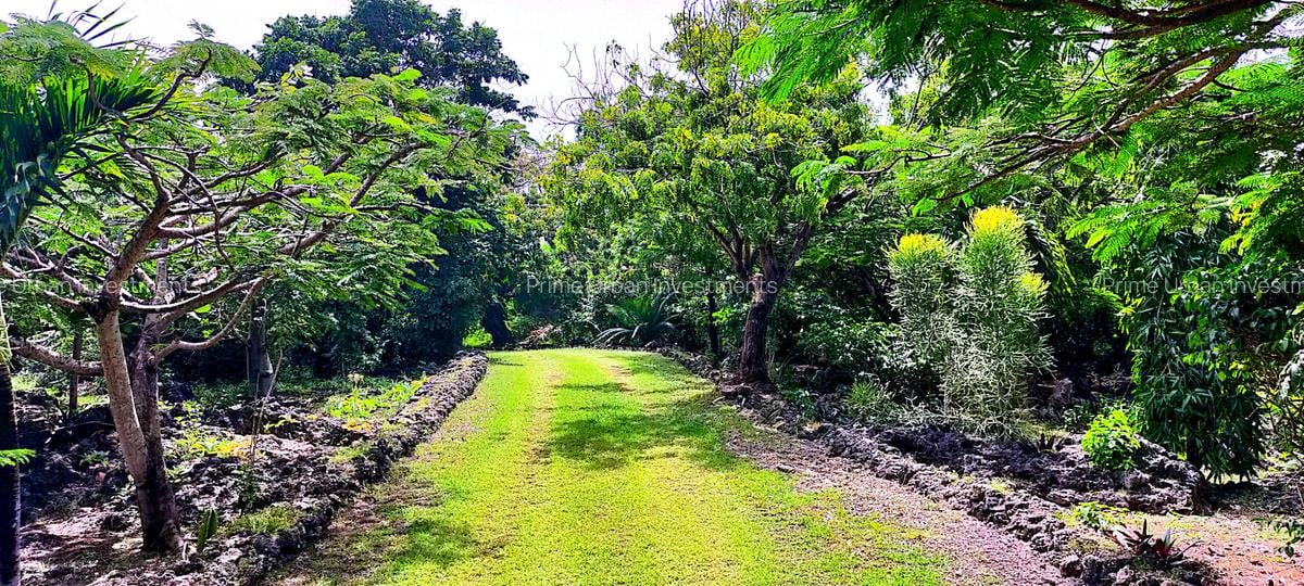 4 Bed House with En Suite at Kuruwitu Beach - 4