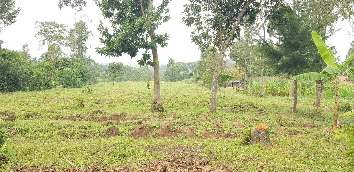 Residential Land at Mokoyot Close - 16