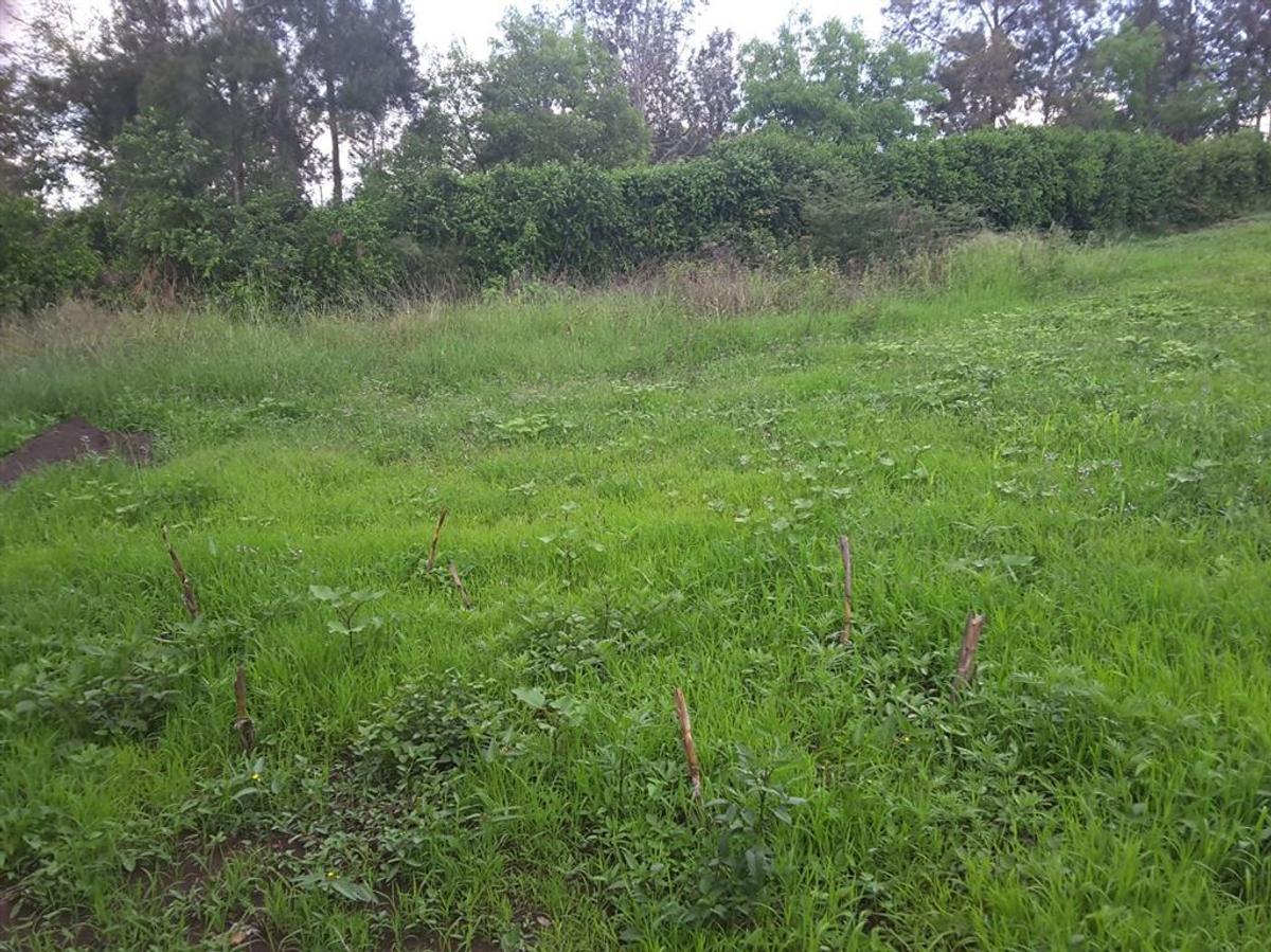 0.1 ha Residential Land in Ngong - 7