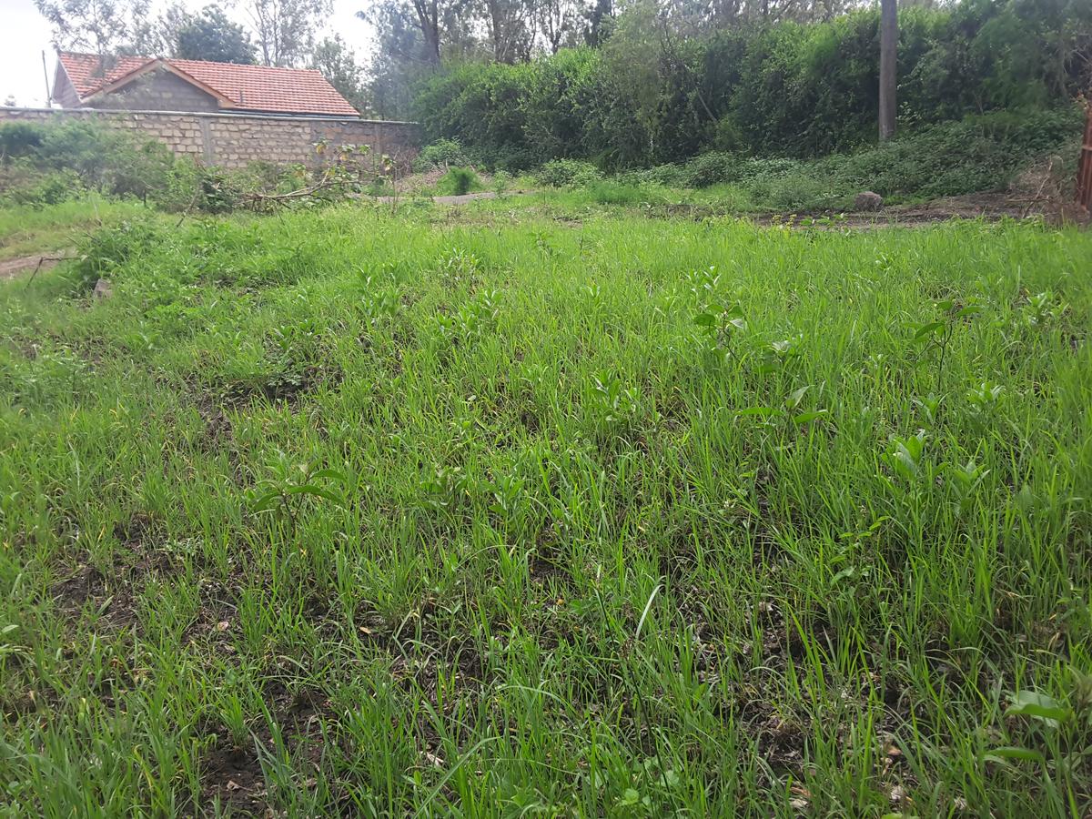 0.25 m² Land in Ongata Rongai - 7