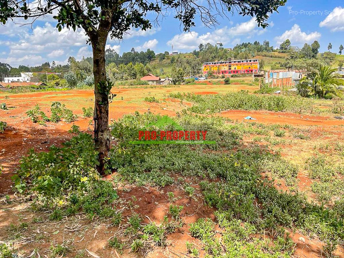 0.08 ha Commercial Land at Limuru - 4