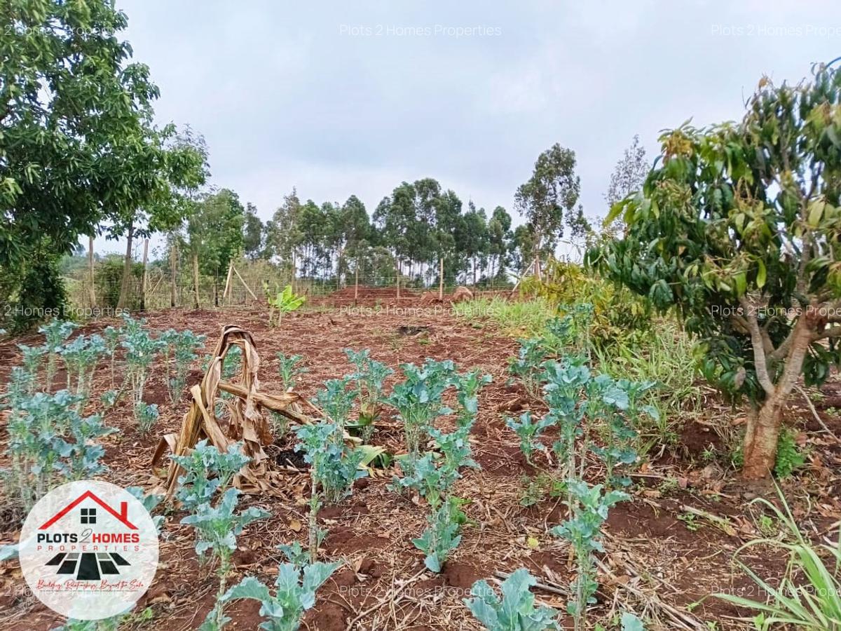 500 m² Residential Land at Migumoini - 4