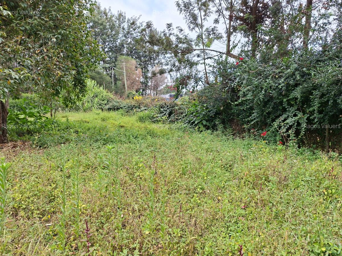 0.5 ac Land at Hillcrest Road - 4