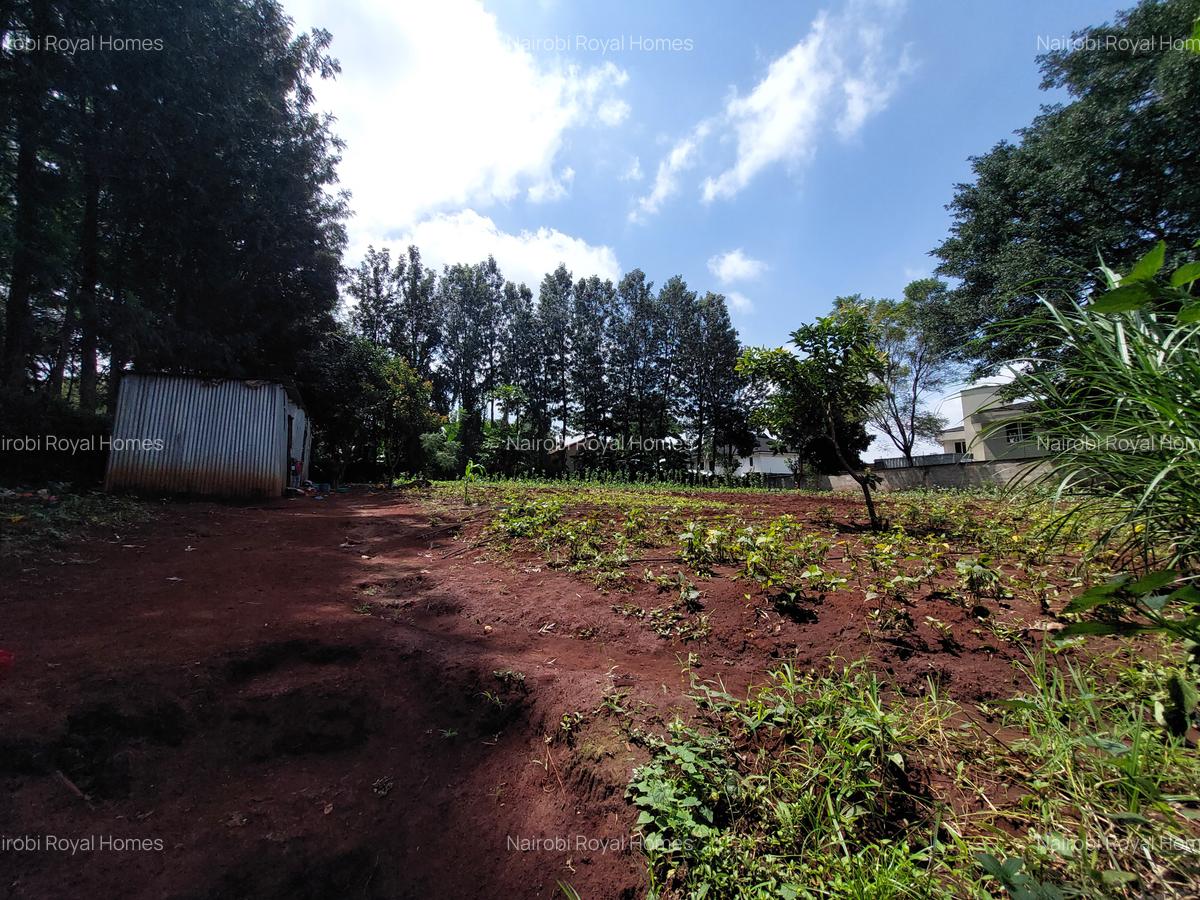 Residential Land at Kirawa Road - 14