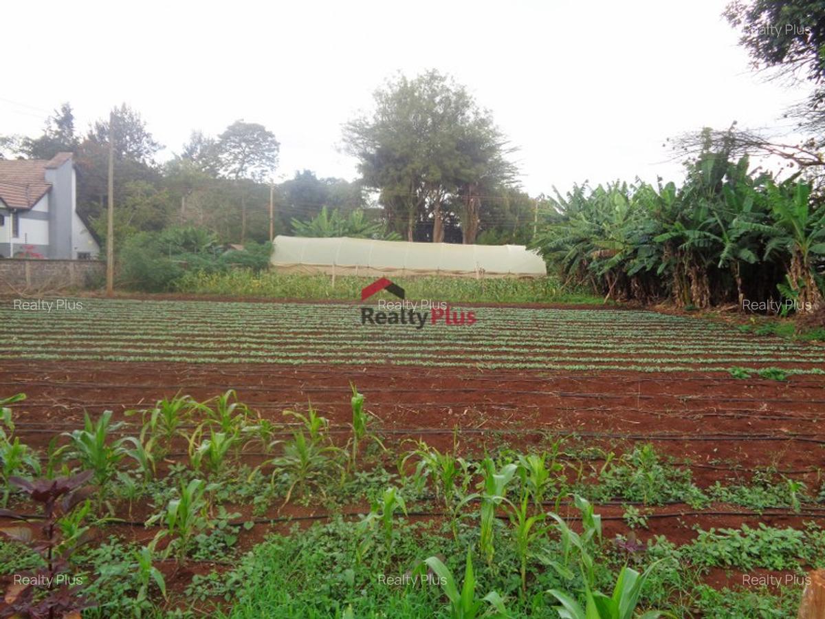 0.5 ac Land in Kitisuru - 5