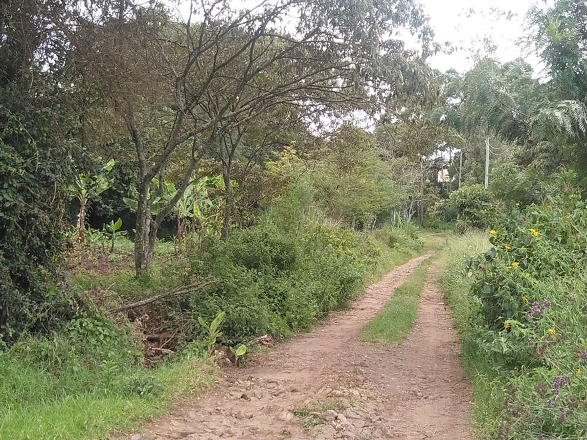 500 m² Residential Land in Ngong - 6