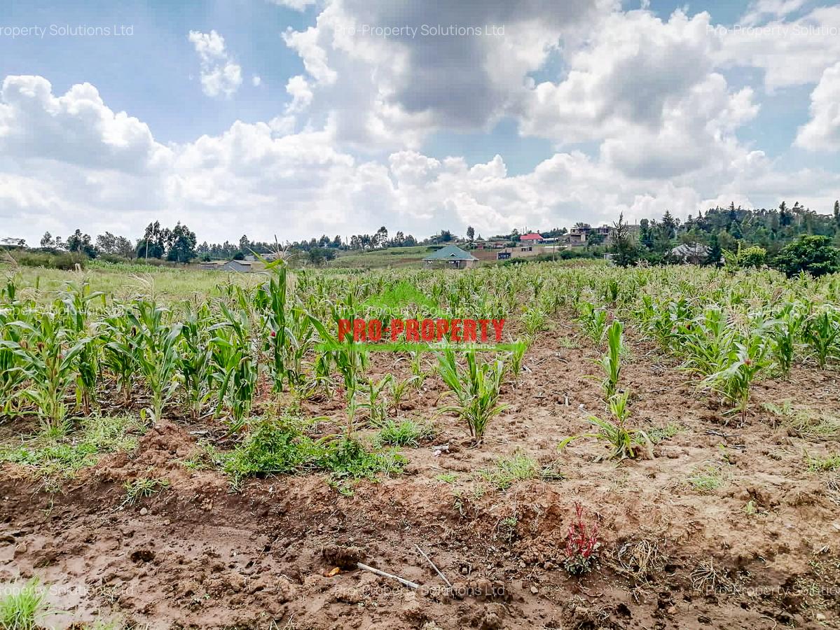 0.05 ha Residential Land at Kamangu - 9