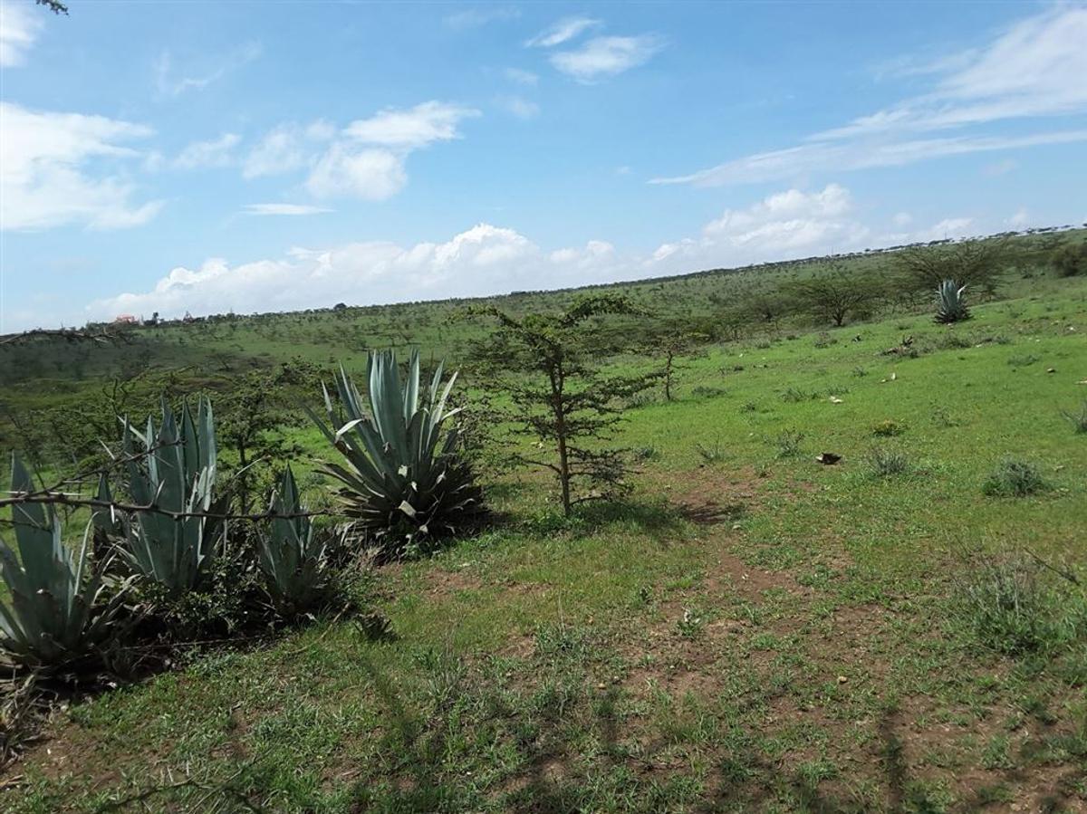 4 ac Residential Land in Kiserian - 6