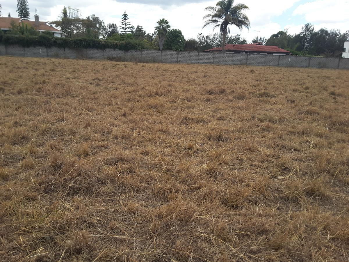 0.5 m² Residential Land in Karen - 14