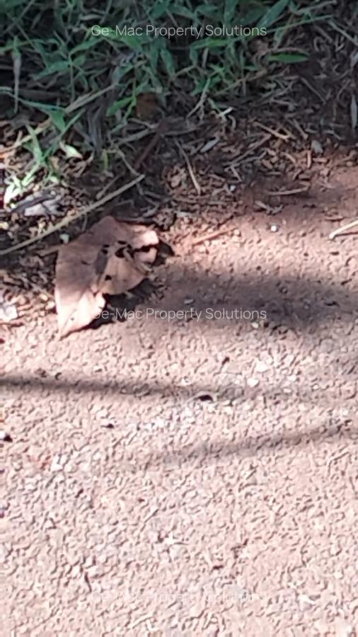 Land in Kitisuru - 6