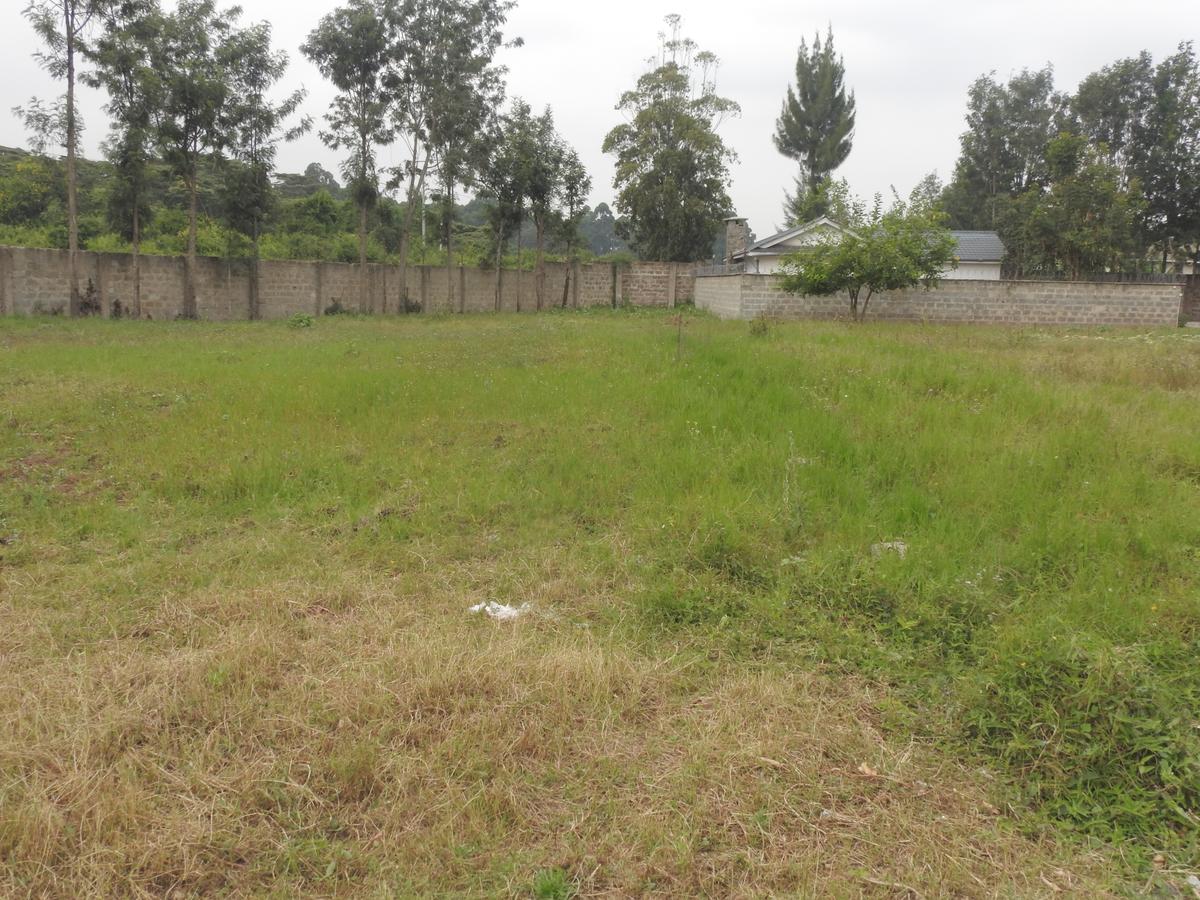 1.3 ac Land at Karen Plains - 3