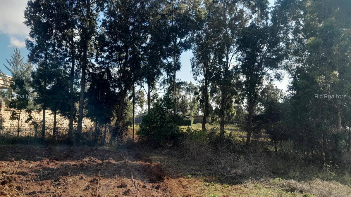 1.5 ac Residential Land at Kibiko - Ngong - 13