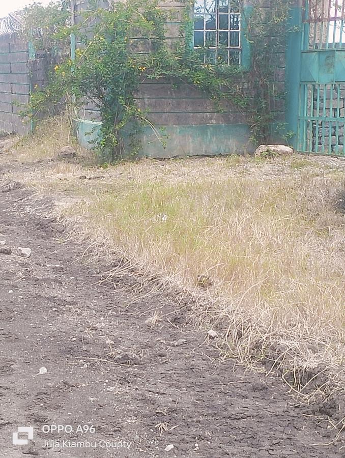 Residential Land in Juja Farm - 11