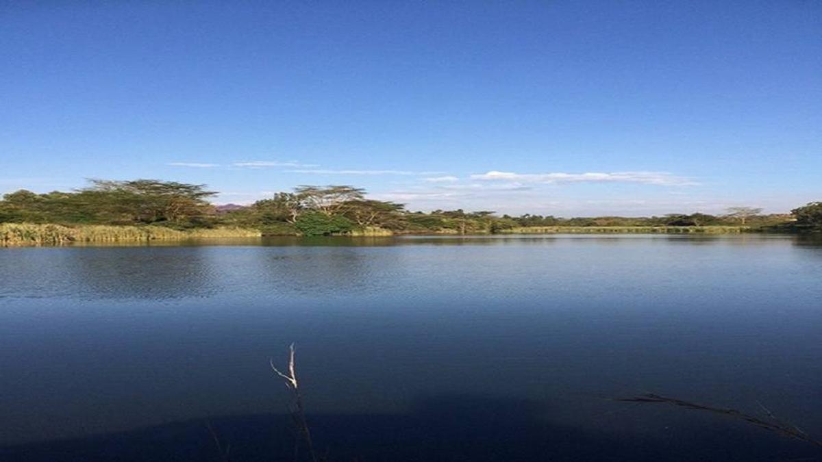 Residential Land at Kijani Ridge - 10