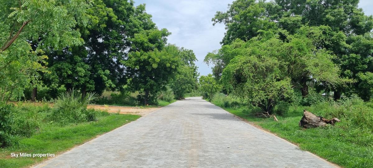 2,000 m² Land at Vipingo Kuruwitu - 8