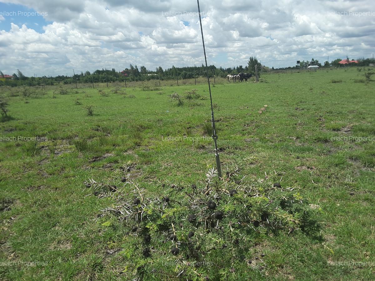 0.1 ha Residential Land in Ongata Rongai - 14
