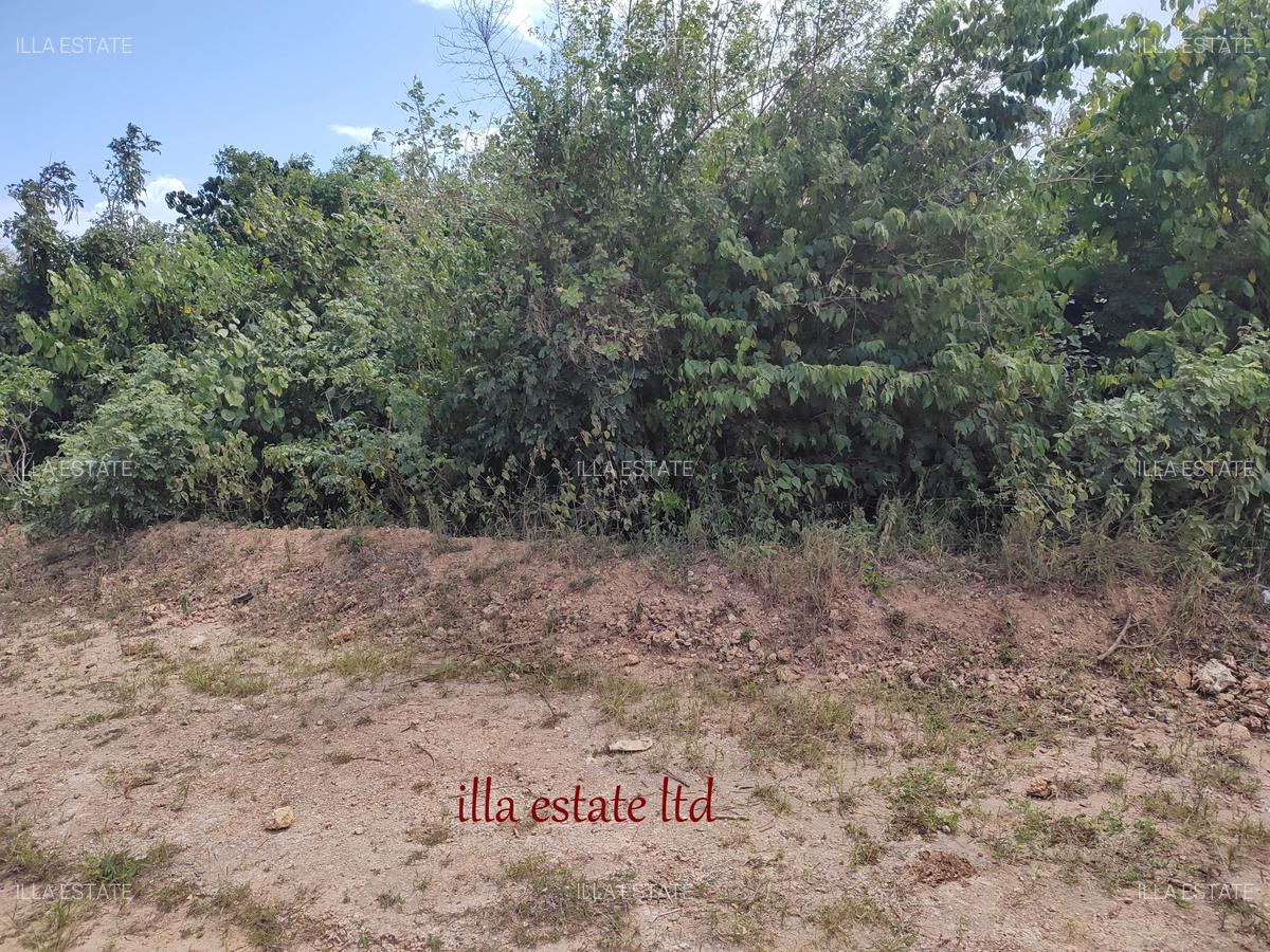 1.00 ac Residential Land at Diani Beach Road - 4